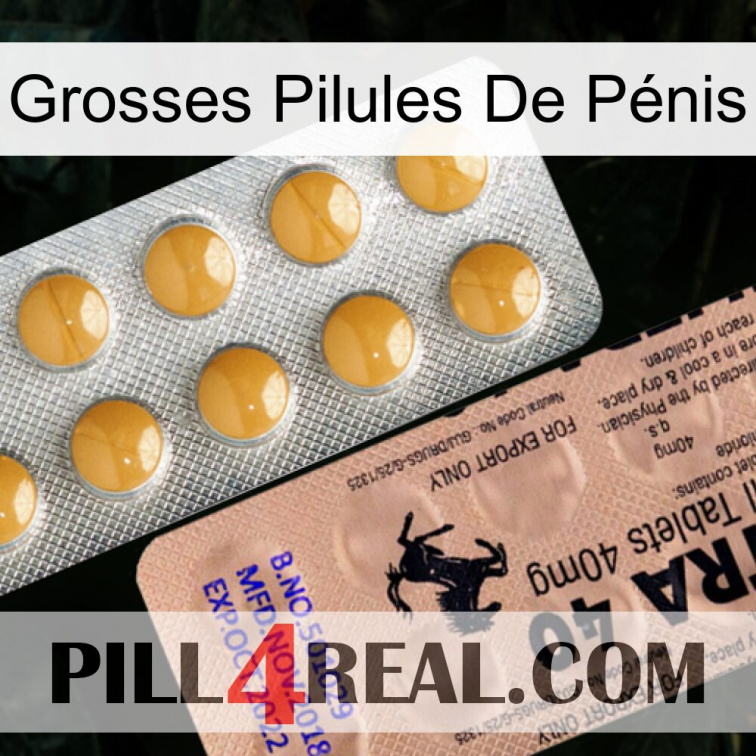 Grosses Pilules De Pénis 41